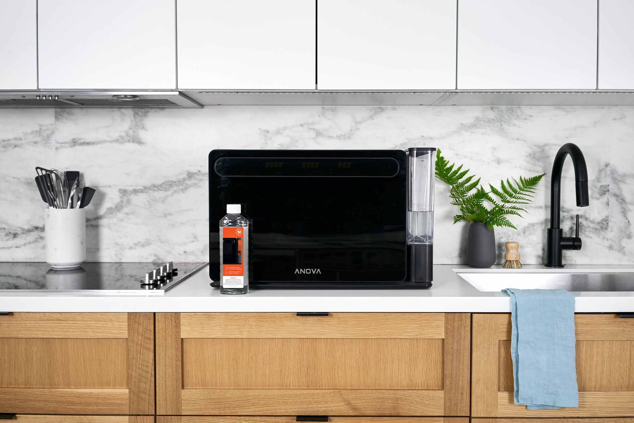 Anova Precision™ Descaler
