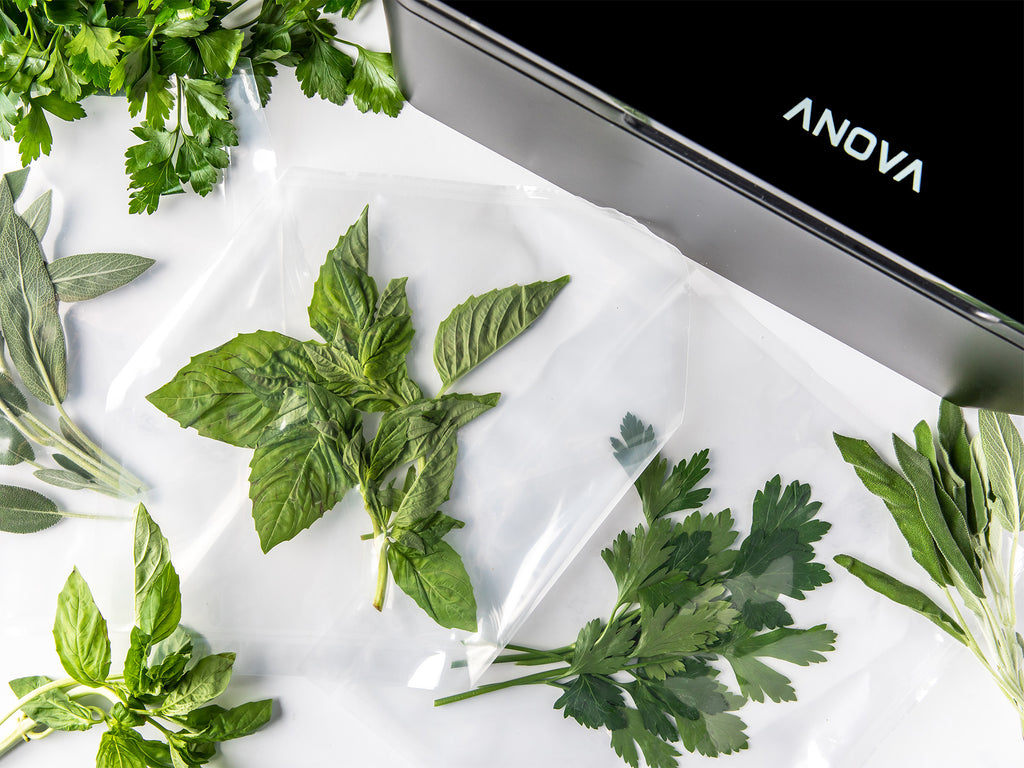 Anova Precision™ Chamber Vacuum Sealer