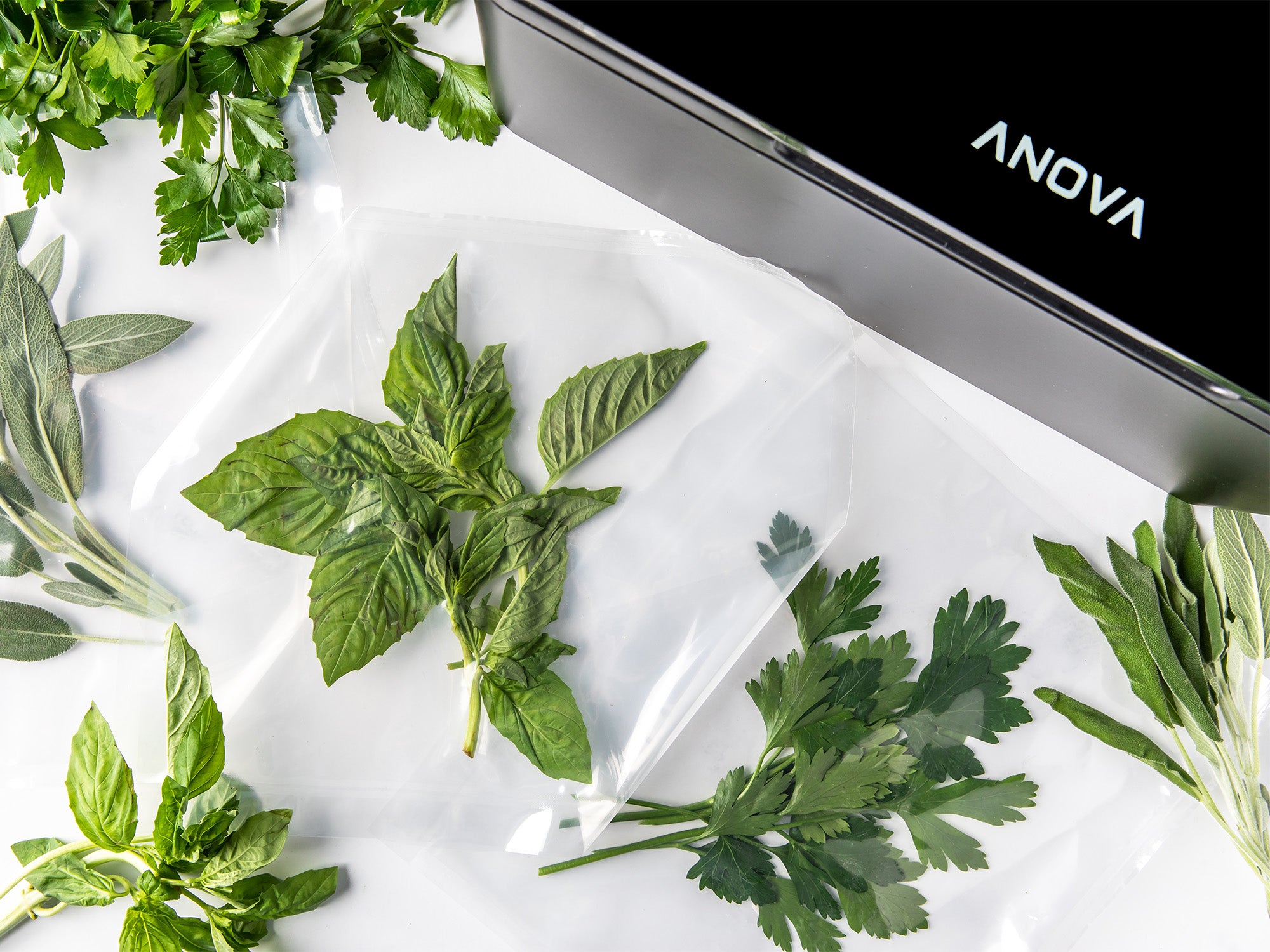 Anova Precision™ Chamber Vacuum Sealer