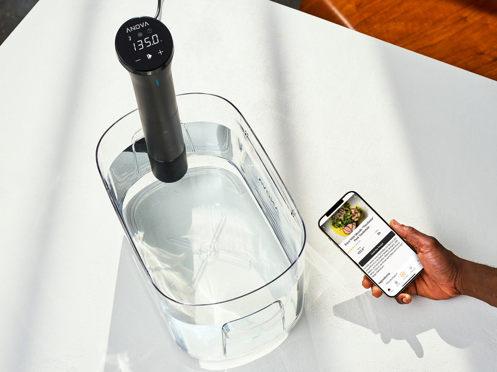 Anova Precision® Cooker Nano